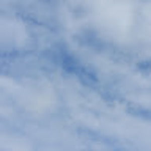 Meet your Posher, Elise